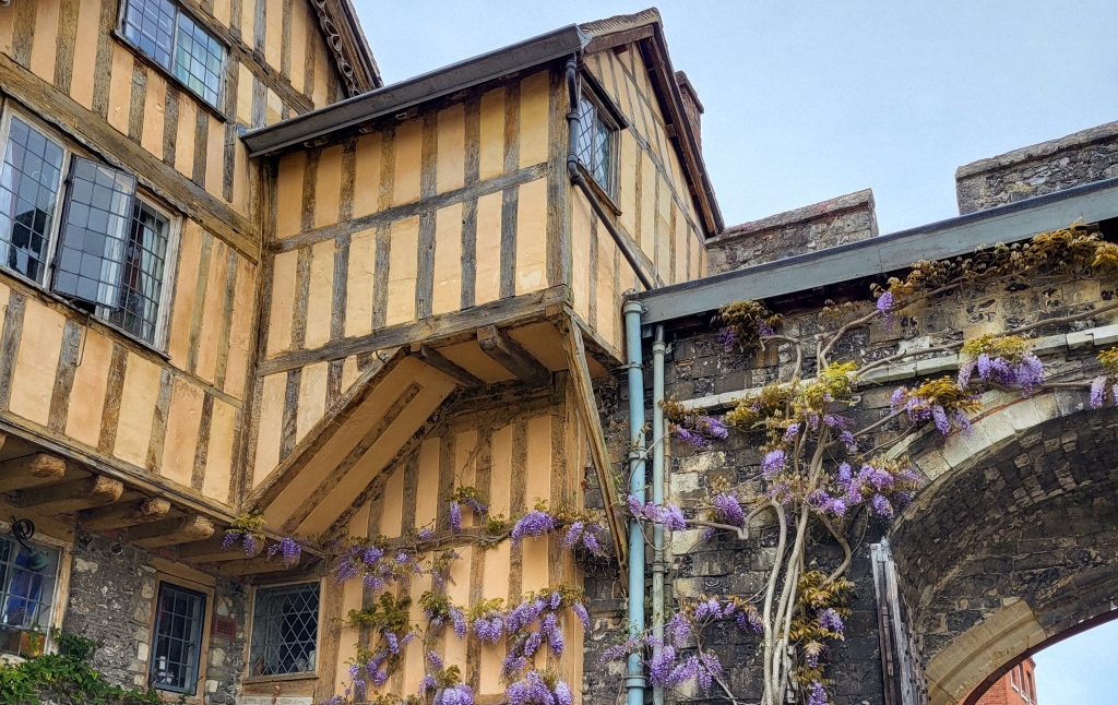A yellow and wooden building, covered in climbing purple wisteria